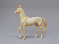 Cremello Mini Khan
